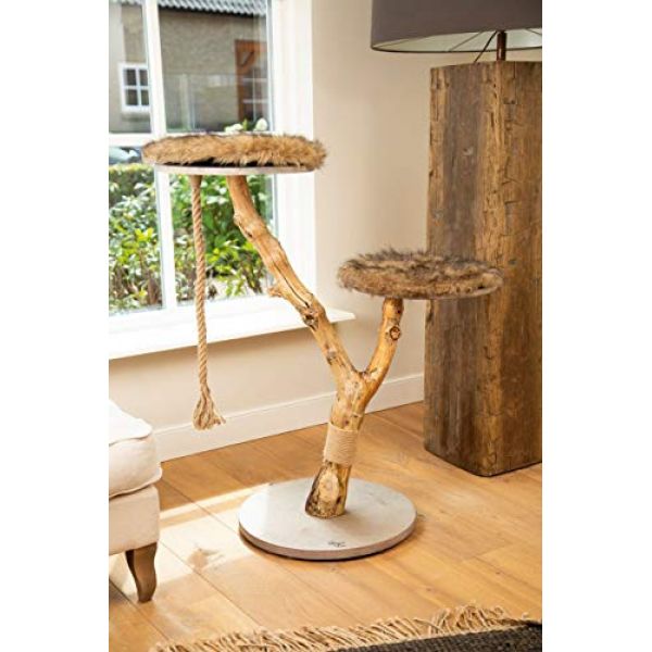 Kratzbaum Elora mit Naturholz